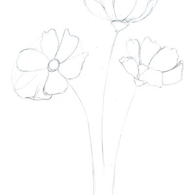 florals_sketch